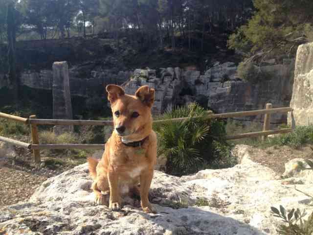 Juli resting for a minute, during a walk in a Roman quarry in Tarragona, Spain.